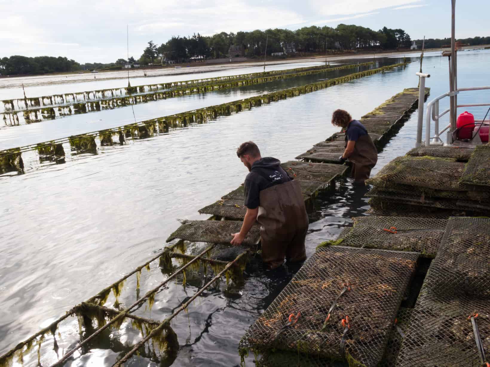 Viviers de la ria - conchyliculture